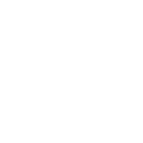 DELL.png
